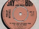 PHILLIP MITCHELL-I'M GONNA BUILD CALIFORNIA/THE WORLD NEEDS MORE PEOPLE-JAY BOY.