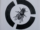 HALO OF FLIES Death Of A Fly 7