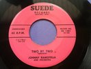 Johnny Ramistella Rivers Two By Two / Little Girl Rockabilly Suede VG 45 Record