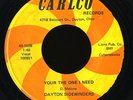 Soul Funk 45   Dayton Sidewinders   Your The One   Carlco   mp3