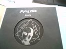 THE CLEAN RARE NEW ZEALAND FLYING NUN 002 