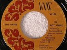 THE DAVID “I’m Not Alone/Sweet December” VMC Psych PROMO