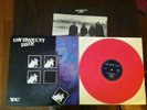 GOVERNMENT ISSUE You AUTOGRAPHED PINK LP harDCore punk kbd dischord we bite GI