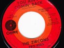 GROUP 45 RPM - THE ZIRCONS on CAPITOL RECORDS