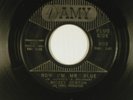 MICKEY DENTON northern Detroit 45 NOW I'M MR. BLUE / TOP TEN   VG