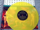 The Presidents of The United States of America - PUSA RARE Yellow Vinyl LP