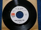 ROGER NICHOLS - I'll Be Back / Just Beyond Your Smile Sunshine Pop WL PROMO NM