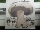 The Mushroom folk sampler 1971 mushroom records L k RARE mushroom folk lp - ex
