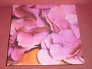 STILL LIFE - 