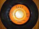 Elements 45 On SARU Records 