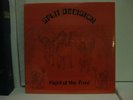 Split Decision Flight Of The Triad RARE PRIVATE Glam Metal PSYCH LP Acid Archive