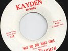 J. D. ROGUES-45-“Why Did God Make Girls”-KillerKool 1966 NH, CT Garage-Punk