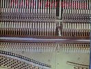 Listen/Cuban Descarga/Chucho Valdes/Mambo Influenciado/Rafael Somavilla/Areito