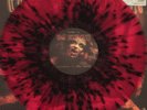 Pig Destroyer 