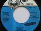 CLASSIC DIGI ROOTS Conroy Smith Wake Up JA Collar 45 Listen 