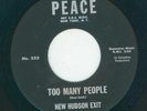 Northern / Garage - New Hudson Exit -Too many people / Fantasy day {Peace}  VG++