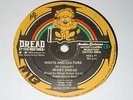 MIKEY DREAD - ROOTS & CULTURE - 12
