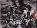 White Stripes  /  Icky Thump     /  DoLP