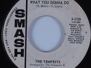Northern Soul 45 TEMPESTS What You Gonna Do SMASH HEAR PROMO