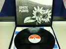 WHITE PLAINS White Plains 1970 1st Press DERAM SML 1067 1W/2W NEAR MINT