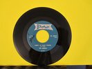 VHTF The Sierras Bangar 644 SURF VG+ Party At Taco Towne / Everything Blue