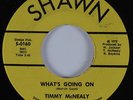 Funk Soul 45 TIMMY MCNEALY What's Going On SHAWN HEAR VG++