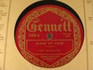 GENNETT RECORDS ROCKY MOUNTAIN TRIO GALLOPIN' DOMINOES/BLOWIN OFF STEAM (JOHNSON