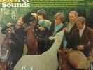 Beach Boys Pet Sounds Mono Vinyl Record  Capital Rainbow Label  T 2458