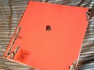 Animal Collective - HOLLINNDAGAIN FIRST PRESSING VINYL (st.ives) RARE