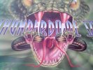 RAR LP THUNDERDOME VII & VI BONUS LP TOP ZUSTAND Hardcore