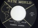 Texas R&B SOUL Tammy James NEW WORLD 2001 (( ? )) That's fat jack