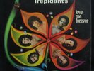TREPIDANTS Love me Forever 1978 LP BRAZIL KILLER BOOGIE FUNK HEAR