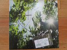 Flea Helen Burns Autographed Vinyl with BASS STRING  Red Hot Chili Peppers