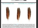 Appleseed Cast-Low Level Owl Volumes I and II-Deep Elm-Blue Green Brown Vinyl- 3