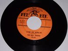 DELL VIKINGS 45 COME GO WITH ME Doo Wop R&B Northern Soul FEE BEE VG-