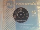 THE FUGITIVES / DEVLIN - I'M GONNA GIVE MY LOVE TO YOU - RARE  RCA PROMO 45 MINT