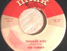 The Stereos 45 MINK Teenage Kids/Memory Lane RARE 1959 DOO WOP LISTEN