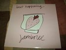 Beat Happening Jamboree Vinyl LP Rough Trade US 30