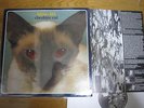 BLINK 182 - Cheshire Cat LP RED EYES NOFX GREEN DAY