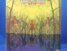 AMERICAN BLUES Do Theire Thing *ORIG* UNI 1968 LP ZZ Top TEXAS PSYCH Near Mint