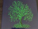 Nick Drake - Fruit Tree Vinyl Box: Five Leaves Left/Bryter Lyter/Pink Moon