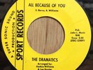 THE DRAMATICS northern soul 45 All Because Of You/Haven't Got Love   Sport EX