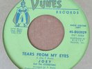 VERY RARE Joey and The Lexingtons 45 RPM - Tears From My Eyes - Bobbie - NICE