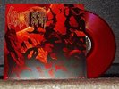 DECREPIT BIRTH - DIMINISHING BETWEEN WORLDS VINYL LP/99 immolation,morbid angel
