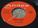 ROCKABILLY 45 - THE RAIDERS - HOCUS POCUS - GREAT 2 SIDER - ANDEX PROMO