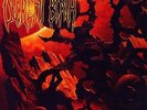DECREPIT BIRTH - DIMINISHING BETWEEN WORLDS LP  BLOOD RED VINYL  SUFFOCATION
