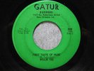 WILLIE TEE 45 First Taste Of Hurt/Funky Twist GATUR rare New Orleans soul/funk