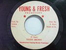 TEDDY BROWN - 100% - YOUNG FRESH 7