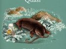 Quasi-Field studies DLP (Elliot Smith,The Thermals)