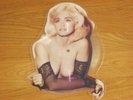 Madonna,Shaped Interview Picture Disc,Excellent Condition